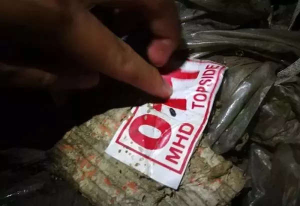 金平私挖走私凍肉事件調(diào)查：挖一斤可賣5元，一過秤就給錢