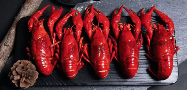 連放大招！中國蝦王密集布局2000億小龍蝦產(chǎn)業(yè)