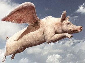 最大養(yǎng)豬戶巨虧4.6億元！風口上的“二師兄”為啥沒飛？