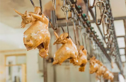 漂泊38年后花800萬“贖回”，道口燒雞老字號“義興張”商標完璧歸趙