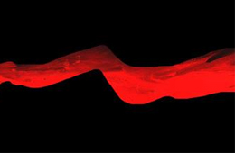 行業丨速凍食品新國家標準正式實施，這些“紅線”要注意了！