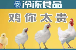 量價齊升，養(yǎng)白羽肉雞咋還虧了？