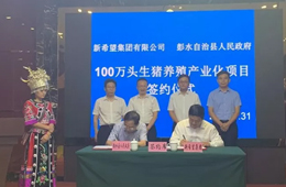 新希望六和落子渝豫甘，生豬規(guī)模再增200萬頭！