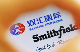 增收不增利，雙匯發展如何應對“二師兄”漲價