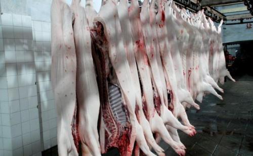 視頻丨嚴(yán)、精、快、準(zhǔn)！正大集團(tuán)的豬肉屠宰加工流程