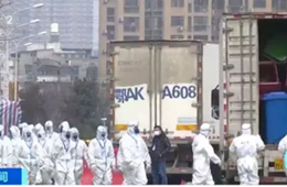 武漢華南海鮮市場完成大規模消殺；牛蛙、烏龜不列入禁食范圍