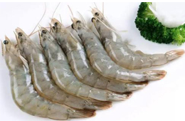 白蝦最新報價！多地凍品市場冷清，餐飲不足三成！有業者卻另辟蹊徑獲“爆單”