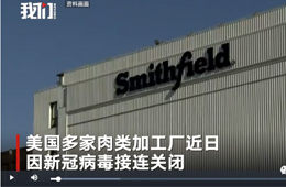 史密斯菲爾德、泰森等國外肉類巨頭停工，或引發全球“肉慌”？