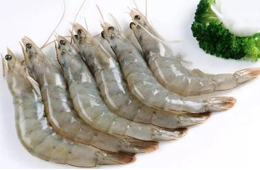 厄瓜多爾白蝦出口訂單消減！份額或被其他國搶走