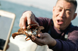 一季度電商直播超400萬場！直播帶貨到底有多火？為何海鮮永遠是爆品？