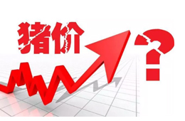 豬價又“變臉”，新一波漲勢來了？農業農村部：或持續到元旦春節