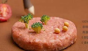 對(duì)話拉絲蛋白巨頭：植物肉是一場飲食革命，大眾消費(fèi)是方向