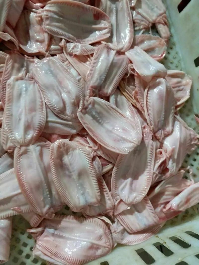 1623721351555770.jpg 1623721351555770.jpg