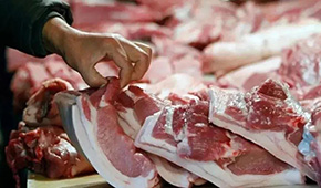 發(fā)改委發(fā)布生豬價格過度下跌三級預(yù)警 ，豬價真的要“奔5”？