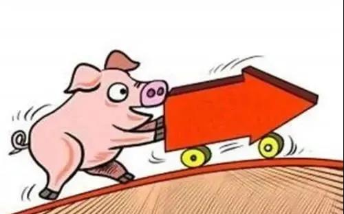 1624931371398589.jpg 微信圖片_20210629094945.jpg