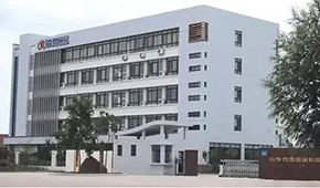 山東又一“雞肉股”IPO！春雪食品新股申購(gòu)，擬募資5.9億元