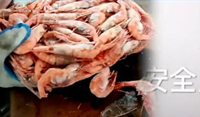 生產日期隨意改、過期蝦換包裝秒變合格品……味庫海鮮攤上事了，曾獲6輪融資