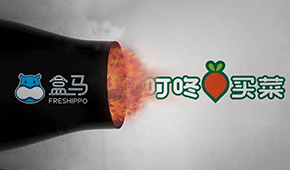 盒馬“炮轟”叮咚買菜，生意不好做大家都暴躁了？