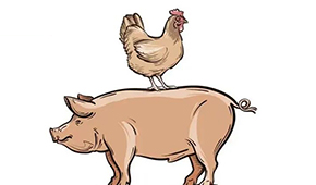 國慶長假后豬、雞價格雙升，發改委稱近期將投放第五批中央豬肉儲備