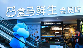 盒馬“移山”，山姆“殺馬”？會員制商超打起來了！