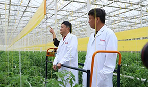 馬家廚房？馬家秘制老鴨煲？馬云的“假動作”為何讓市場興奮？