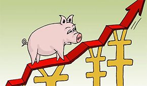 牧原、溫氏、新希望…業績大漲，扭虧為盈，豬企龍頭集體走出“至暗時刻”？