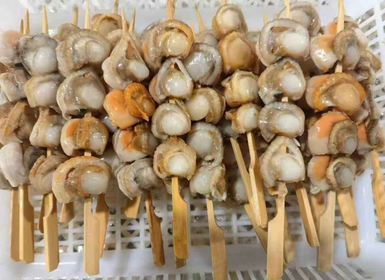 1741574098977458.jpg 1741574098977458.jpg