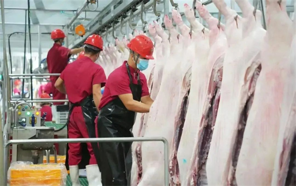 1754029750965424.jpg 微信圖片_2025-08-01_141338_281.jpg