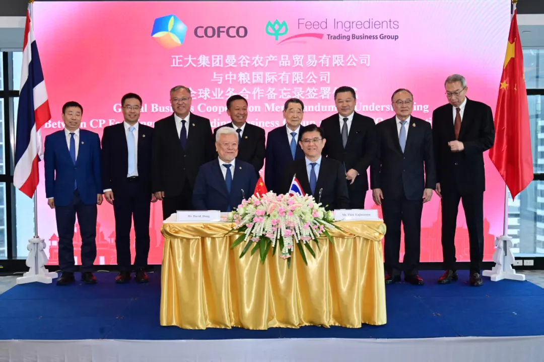 1764120310365325.png 1764120310365325.png